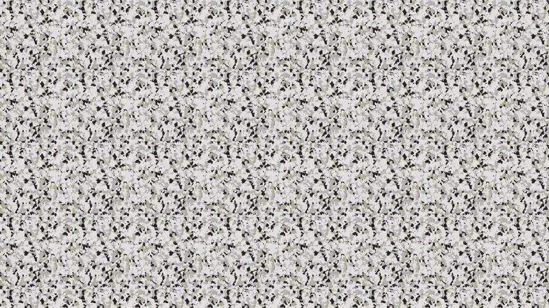 A light grey decorative concrete finish with fine speckling.