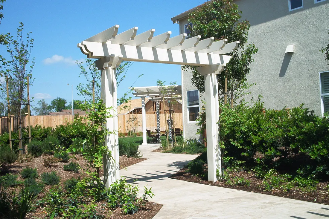 White wooden pergola arbor over a concrete walkway surrounded by landscaped bushes and trees