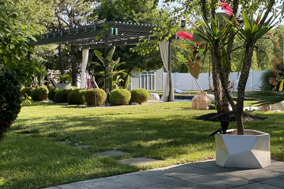Dark pergola with white curtains and string lights in a landscaped grassy backyard